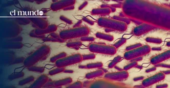 México sufre una infección endémica de Helicobacter Pylori, ligada al cáncer gástrico
