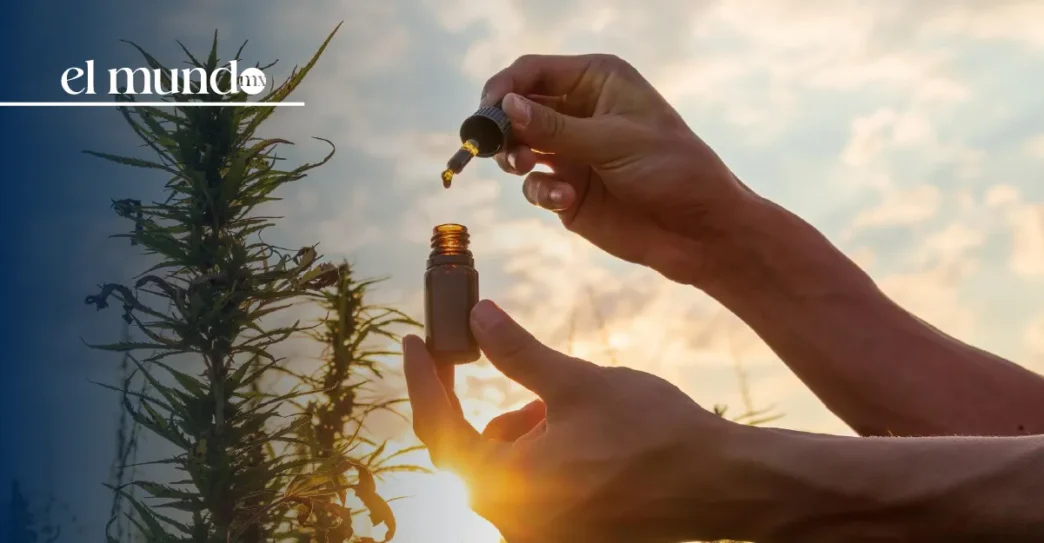 ¿Para qué sirve el CBD y por qué Donald Trump aceleró la reclasificación de la marihuana?